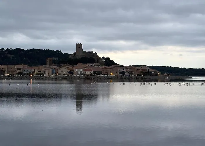 O Fil Du Vent 그륏상